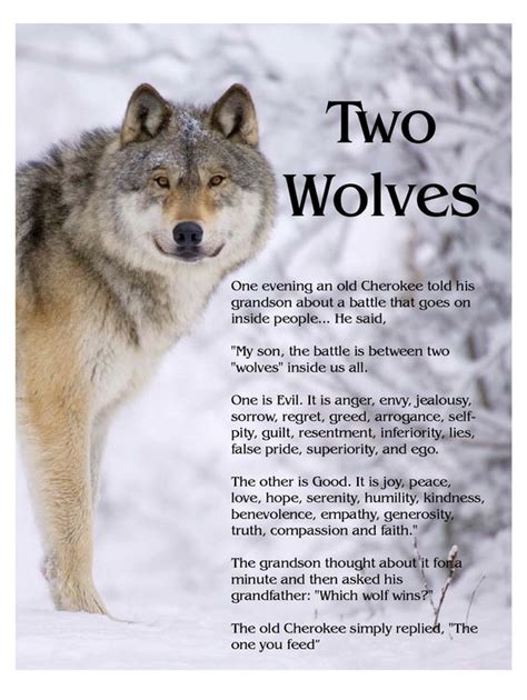 The Wolf Of Jealousy/Stench Mensch 2025 𝚆𝚊𝚝𝚌𝚑 On Demand Episodes
