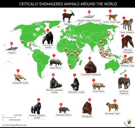 A World Of Endangered Animals 2025 𝚆𝚊𝚝𝚌𝚑 On Exclusive Streaming

